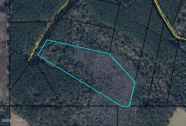 0 Reedy Creek Crossing, Westville, FL 32464 - #1