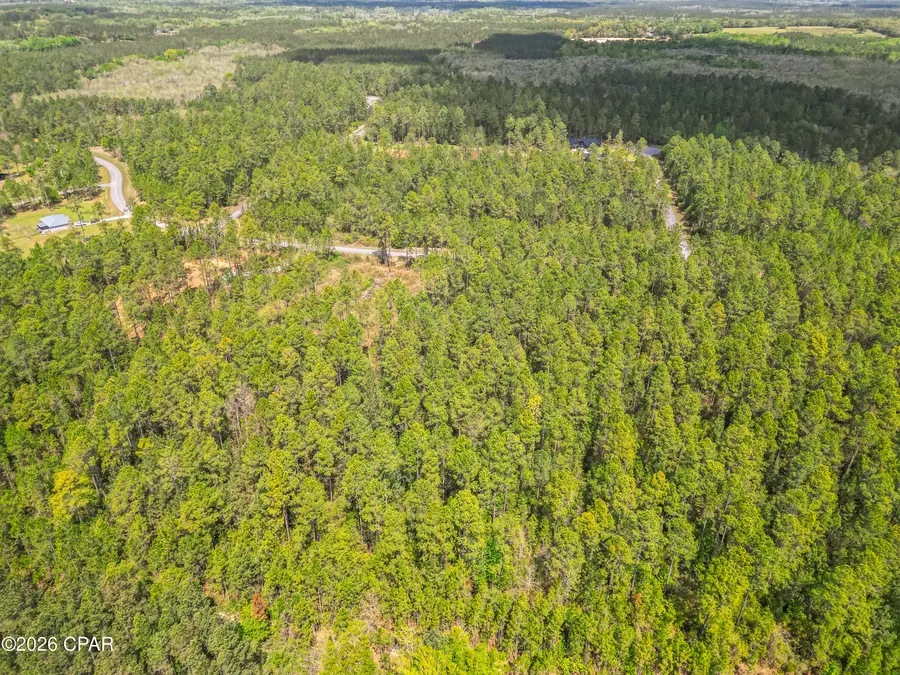 0004 Cypress Crossing Road, Vernon, FL 32462 - #3