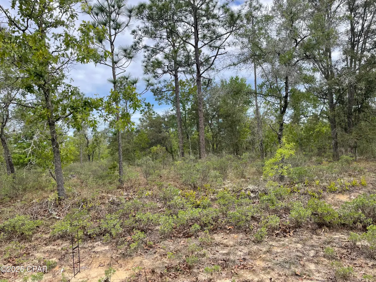 Lot 10 Aquarius Drive, Chipley, FL 32428 - #1