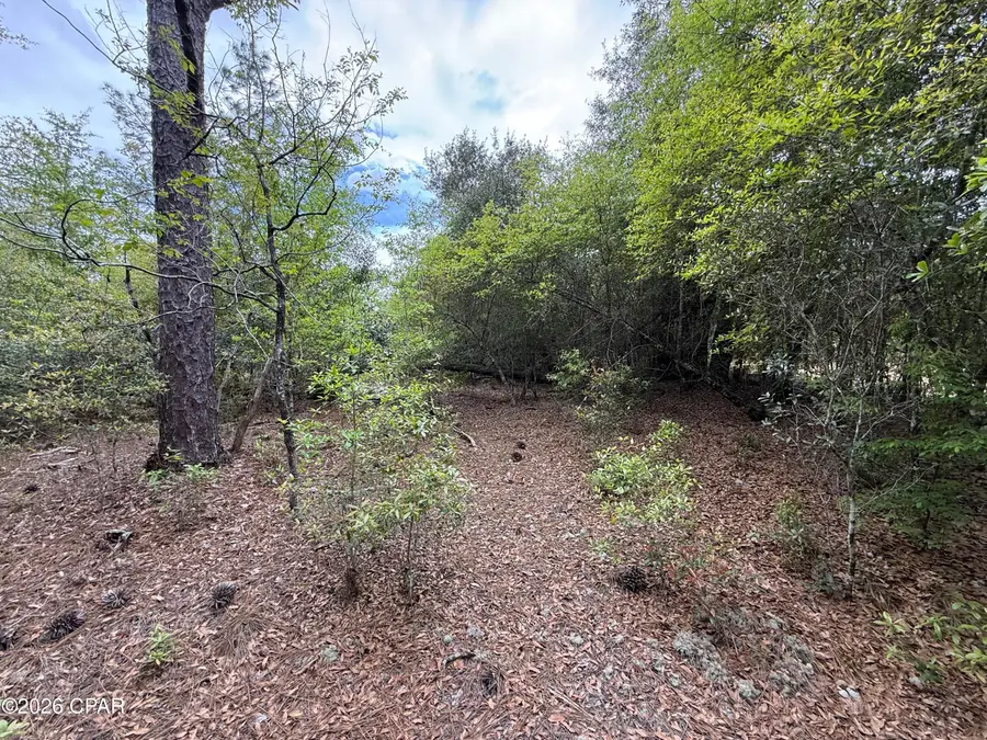 19678 Walsh Road, Fountain, FL 32438 - #2