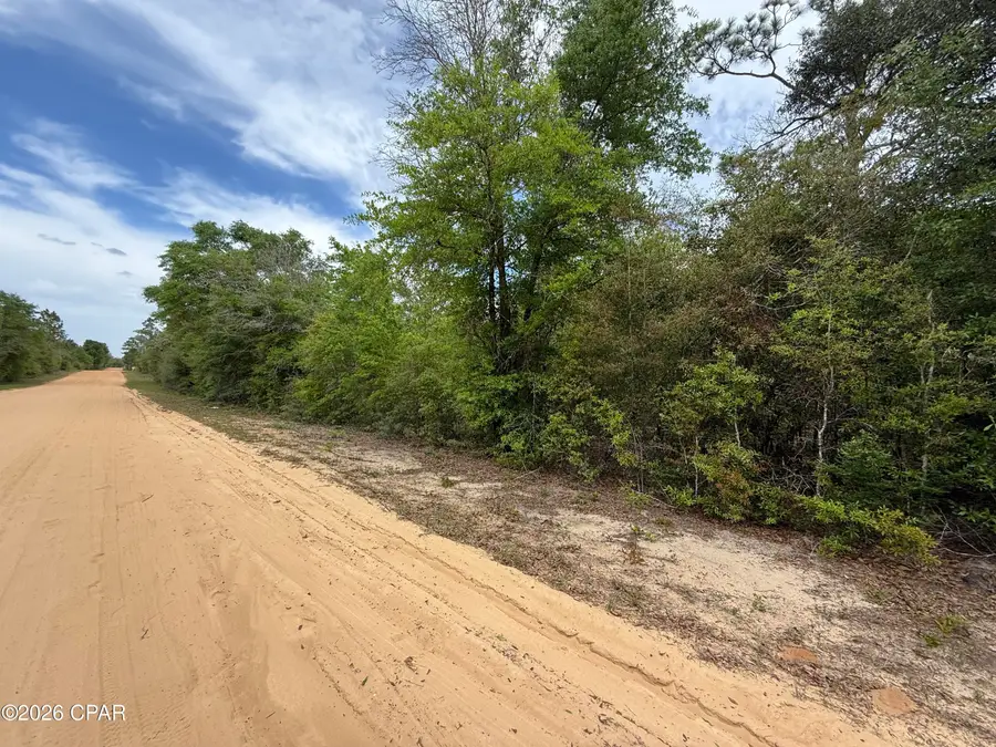 19678 Walsh Road, Fountain, FL 32438 - #3