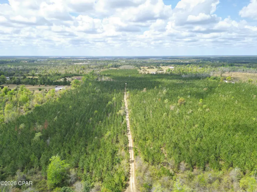 30 Acres NW Melvin Road, Clarksville, FL 32430 - #3