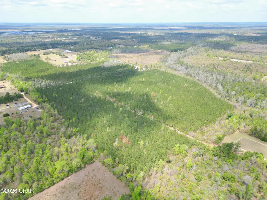 37 Acres NW Melvin Road, Clarksville, FL 32430 - #3