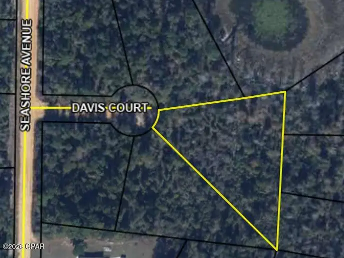 0000 Davis Ct, Alford, FL 32420 - #1