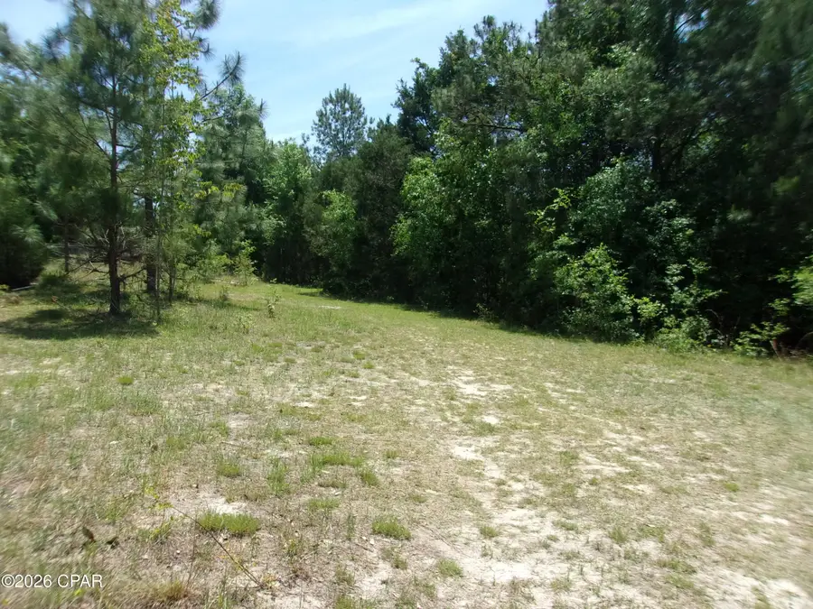 1356 Truett Circle, Bonifay, FL 32425 - #2