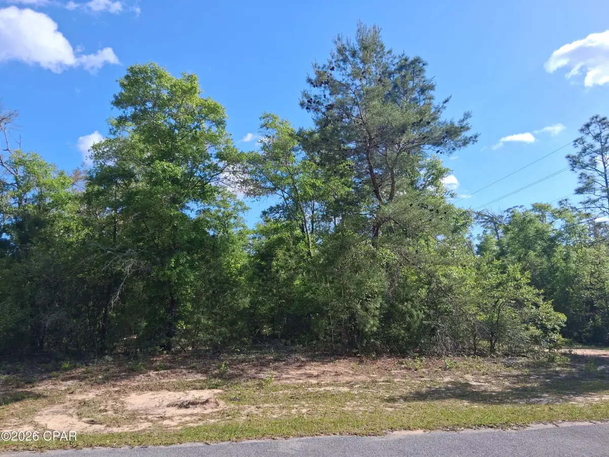 Lot 1 Urmey Court, Chipley, FL 32428 - #1