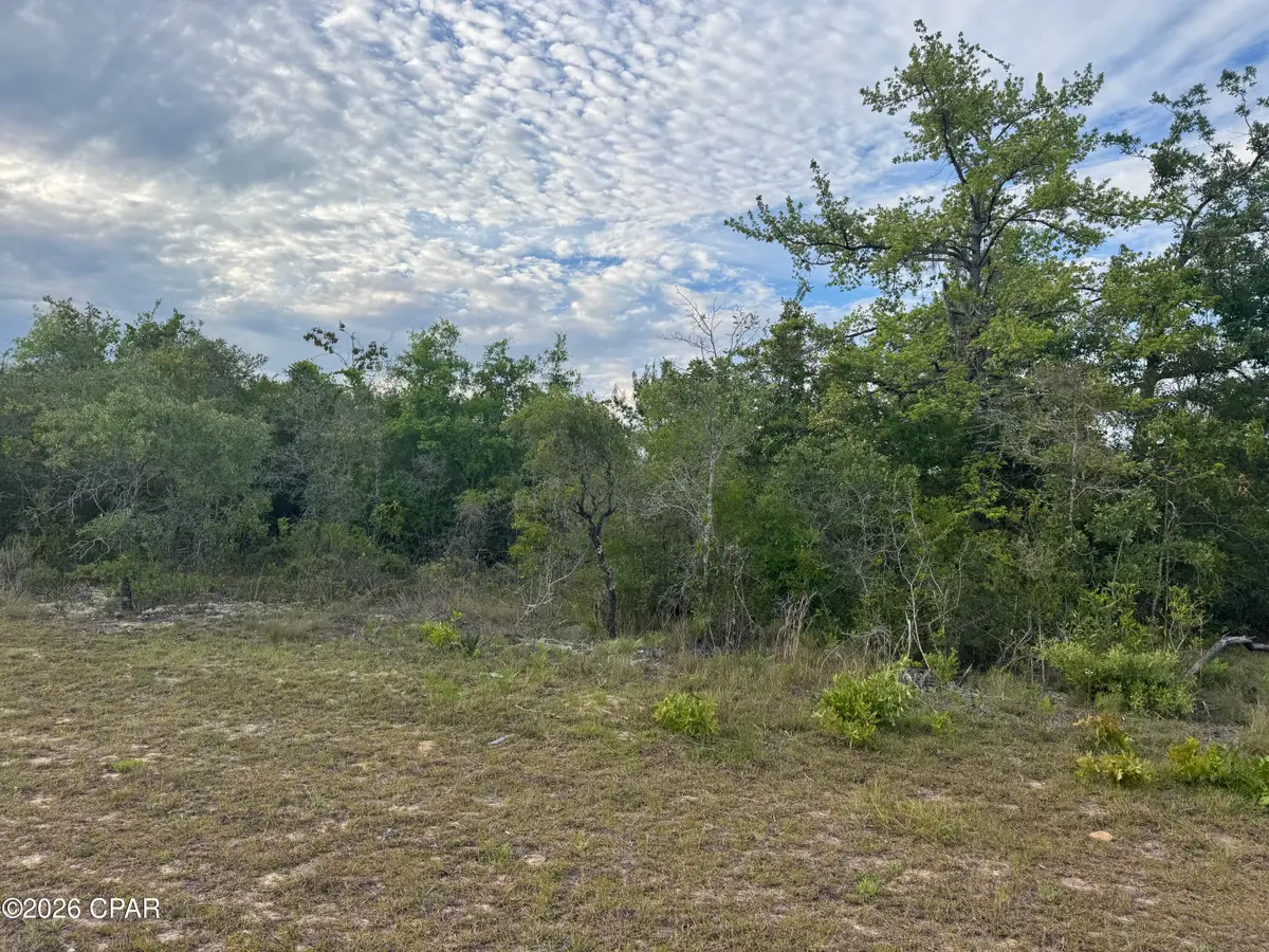 0000 Washington Boulevard, Chipley, FL 32428 - #1