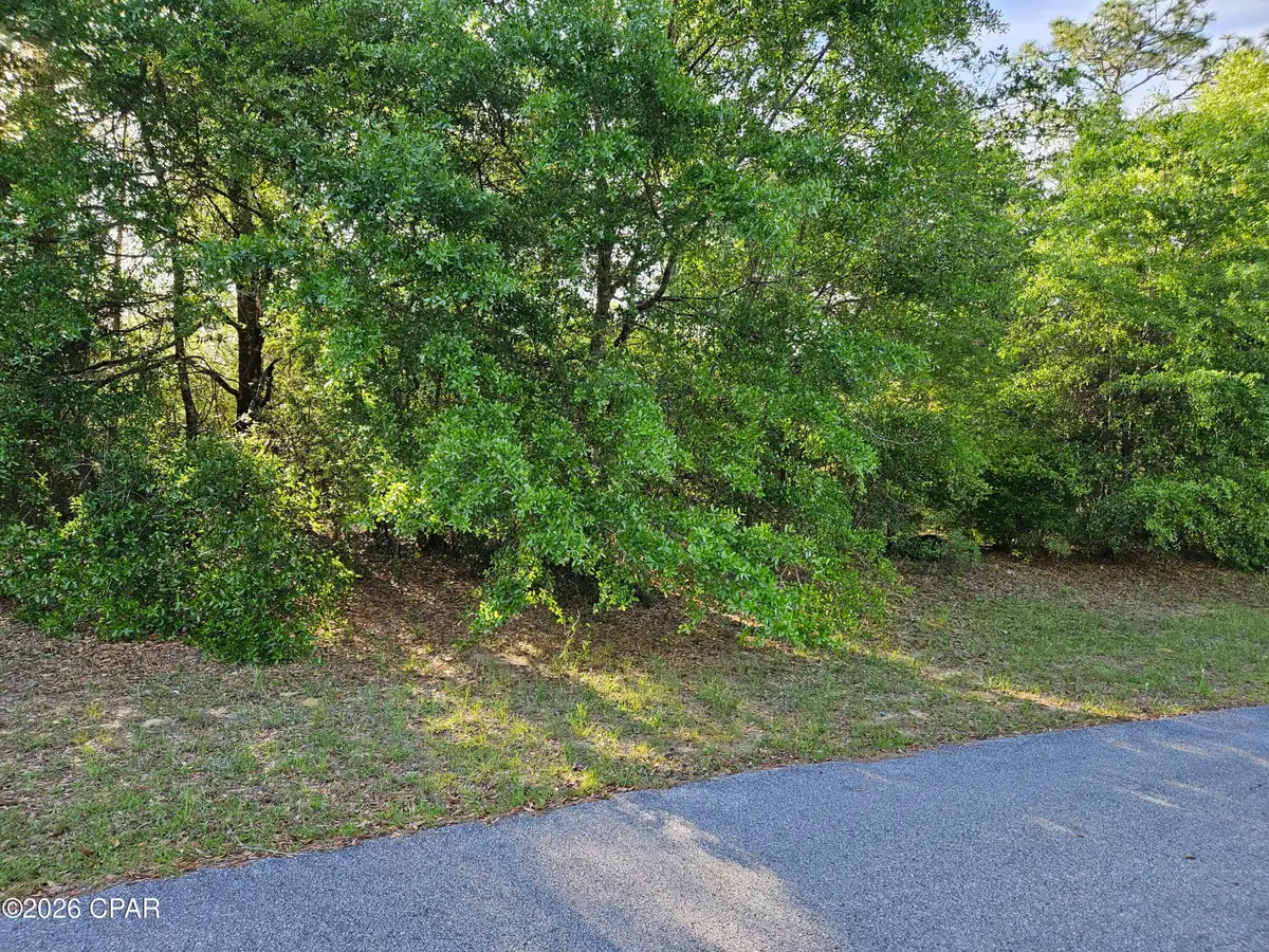 Lot 7 Bricknell Avenue, Chipley, FL 32428 - #1