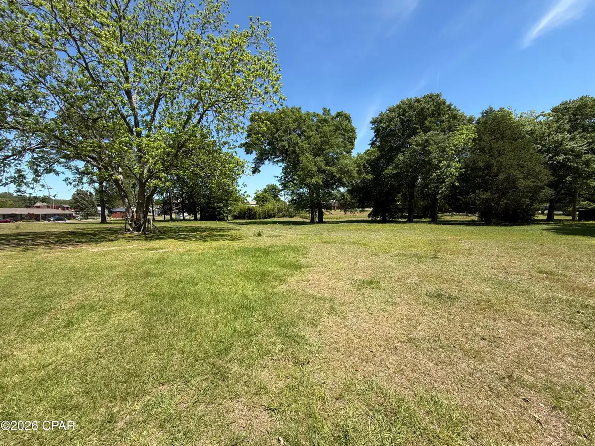 00 White Avenue, Graceville, FL 32440 - #1