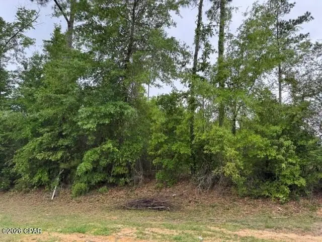 000 W Lakeview Drive, Wewahitchka, FL 32465 - #1