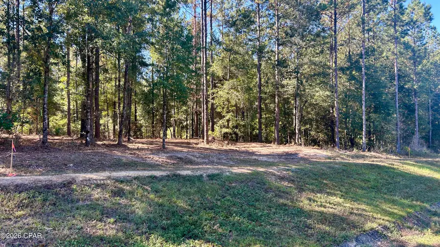 K 147 Highway, Laurel Hill, FL 32567 - #3