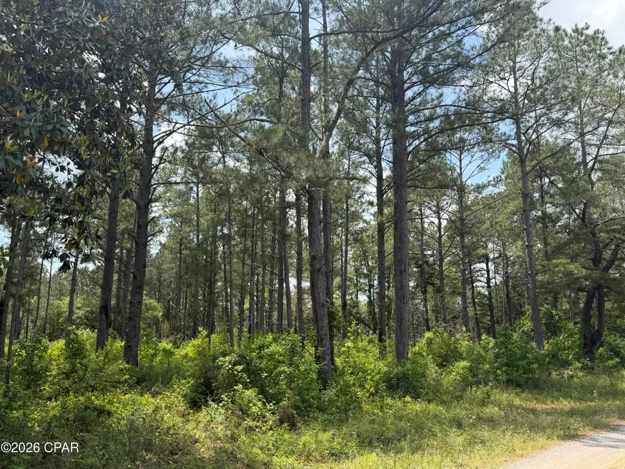 000 Parrish Still Road, Vernon, FL 32462 - #2