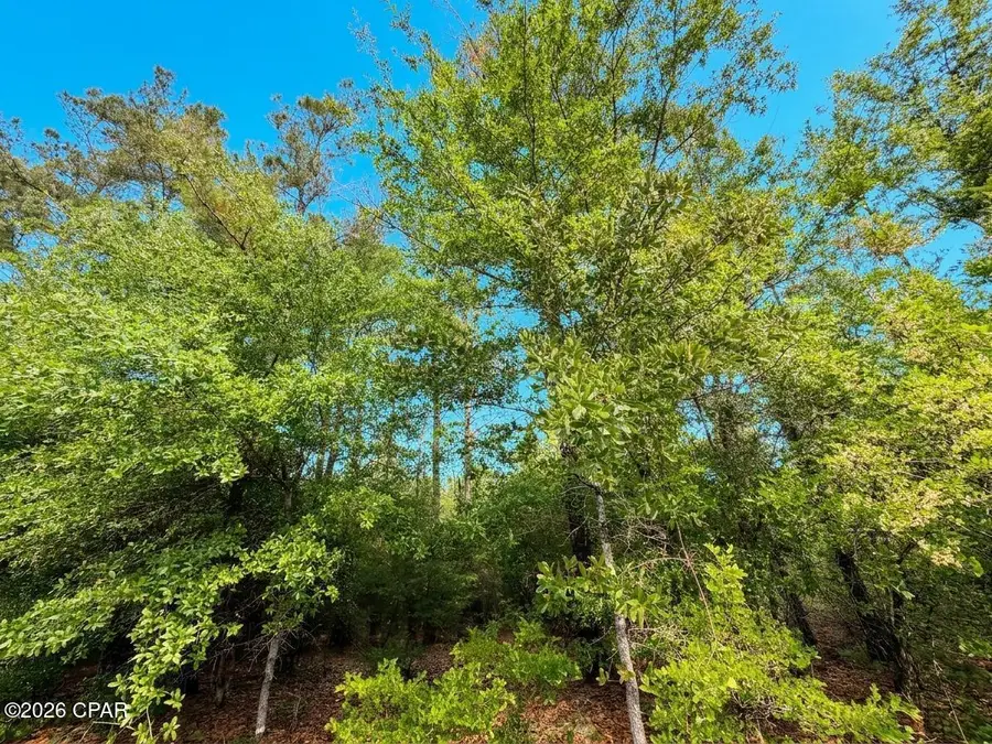 0000 Broadview Avenue, Alford, FL 32420 - #3