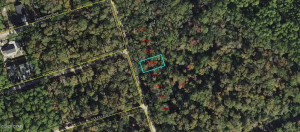 Lot 8 Fig Tree Lane, Crawfordville, FL 32327
