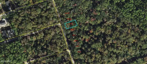 Lot 9 Fig Tree Lane, Crawfordville, FL 32327