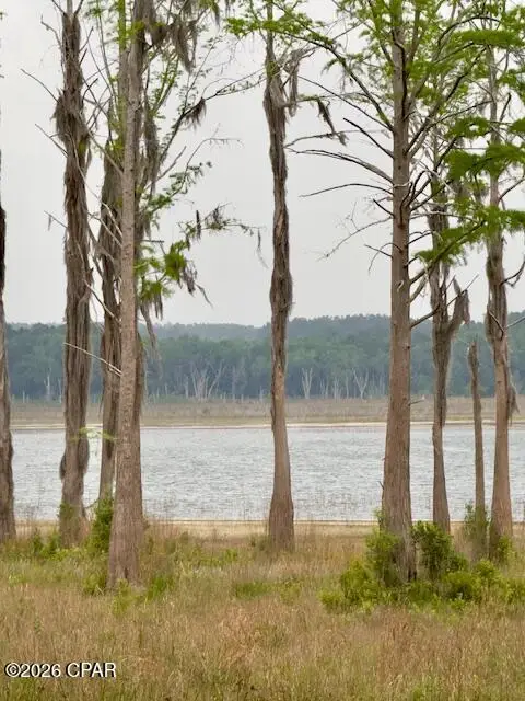 TBD Lakeshore Drive, Chipley, FL 32428 - #1