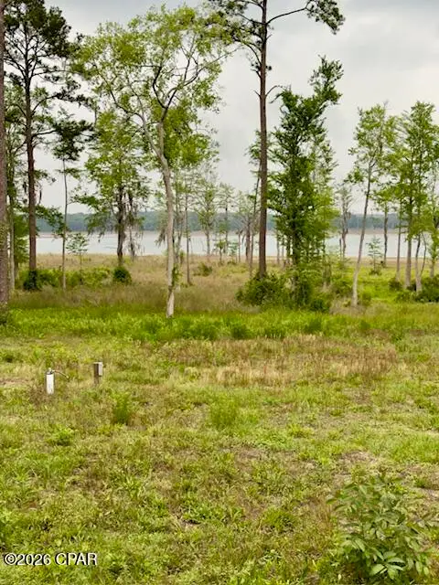 TBD Lakeshore Drive, Chipley, FL 32428 - #3