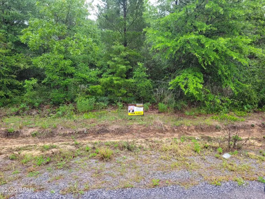 See Plot # N Pinetree Lane, Defuniak Springs, FL 32433 - #3