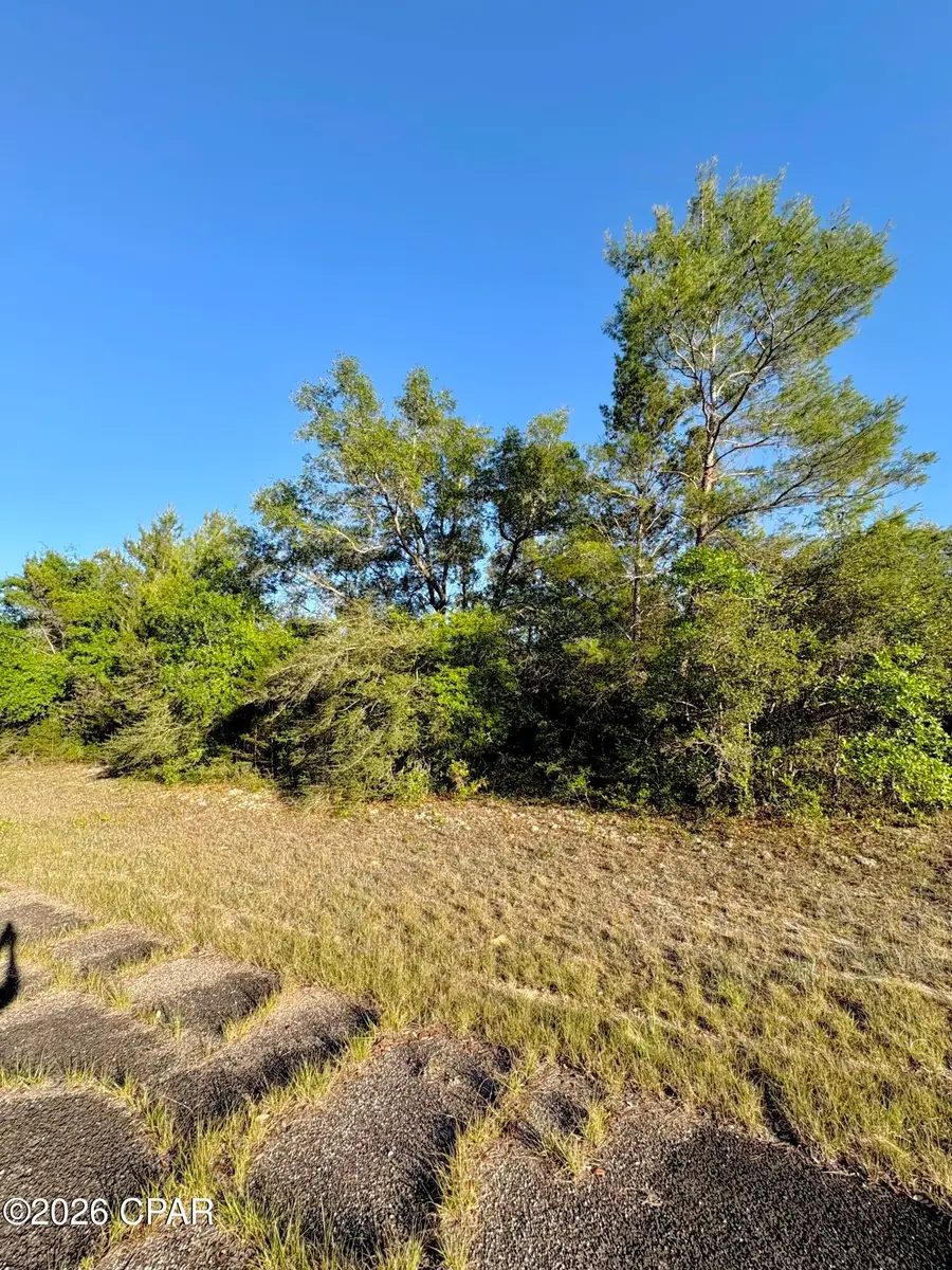 Lot 3 Abbott Street, Chipley, FL 32428 - #2