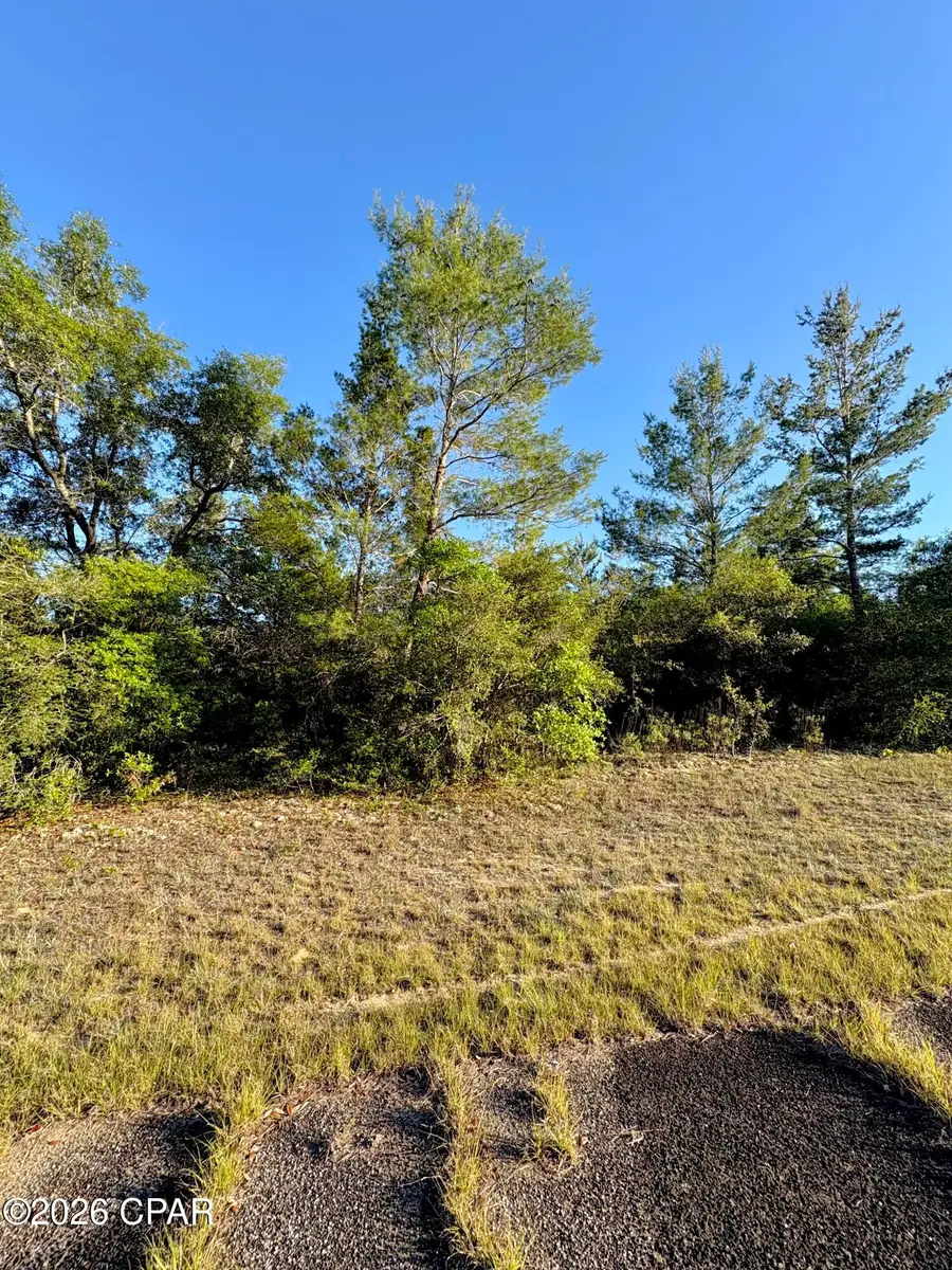 Lot 3 Abbott Street, Chipley, FL 32428 - #3