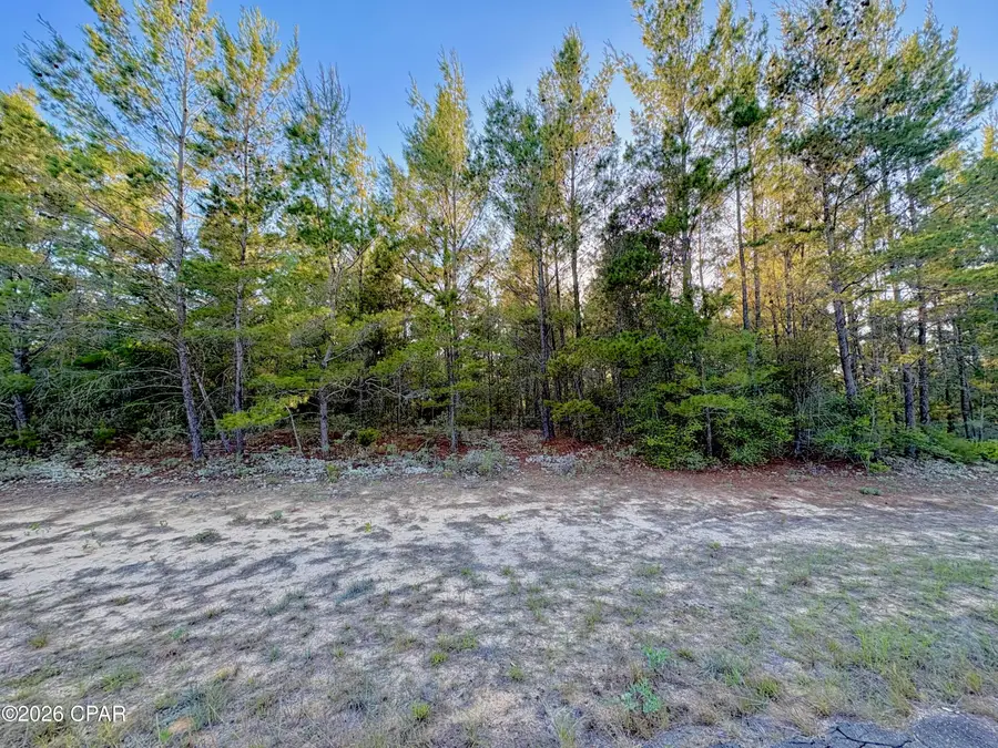 Lot 53 Yarmouth Avenue, Chipley, FL 32428 - #3