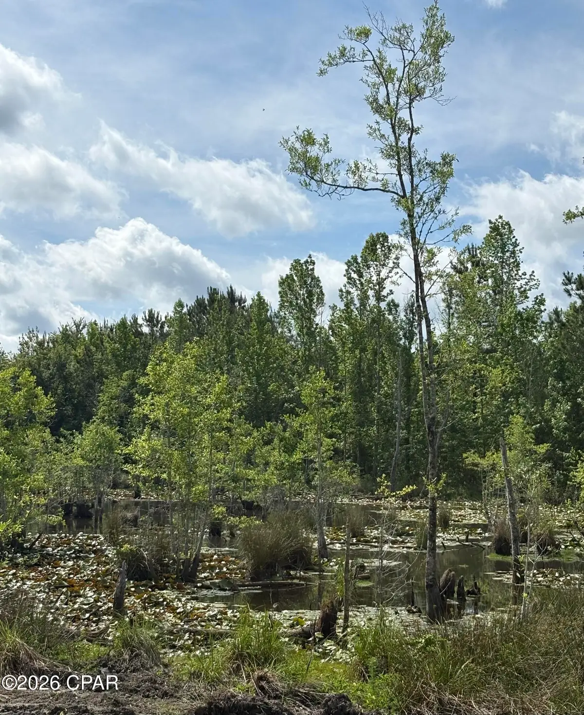 XX Jj Whitaker Rd, Bonifay, FL 32425 - #1