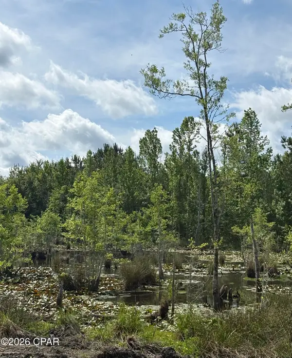XX Jj Whitaker Rd, Bonifay, FL 32425
