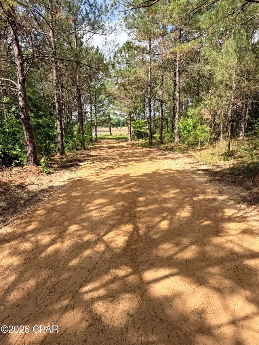 XX Jj Whitaker Rd, Bonifay, FL 32425 - #2