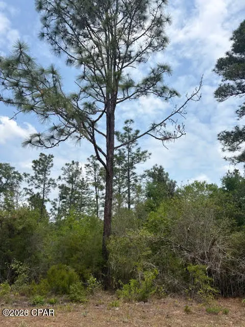 00 Southern Boulevard #L4 B203, Alford, FL 32420