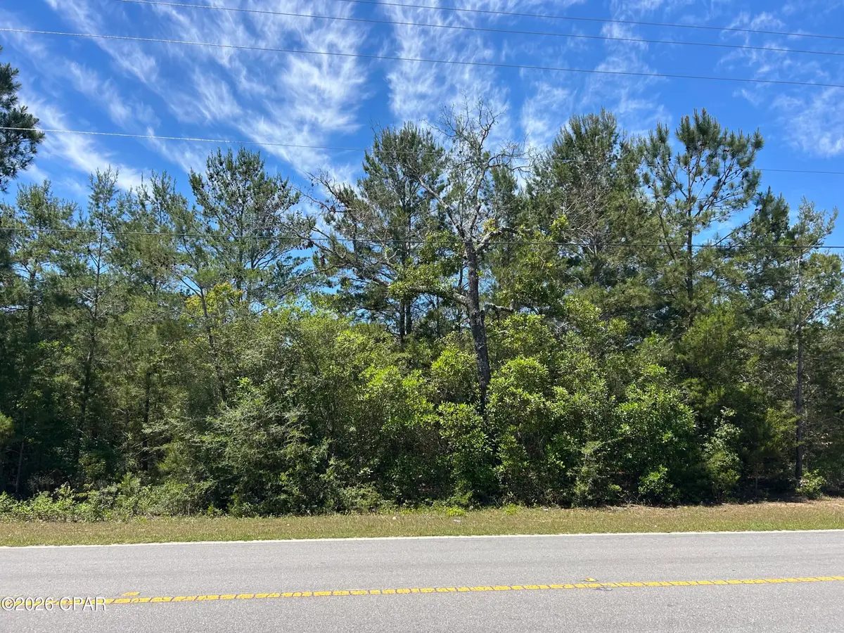 0 Bonnett Pond Road, Chipley, FL 32428 - #1