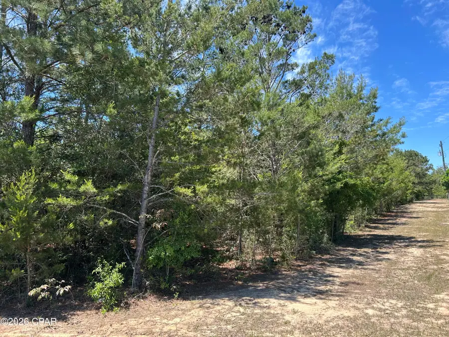 0 Bonnett Pond Road, Chipley, FL 32428 - #3