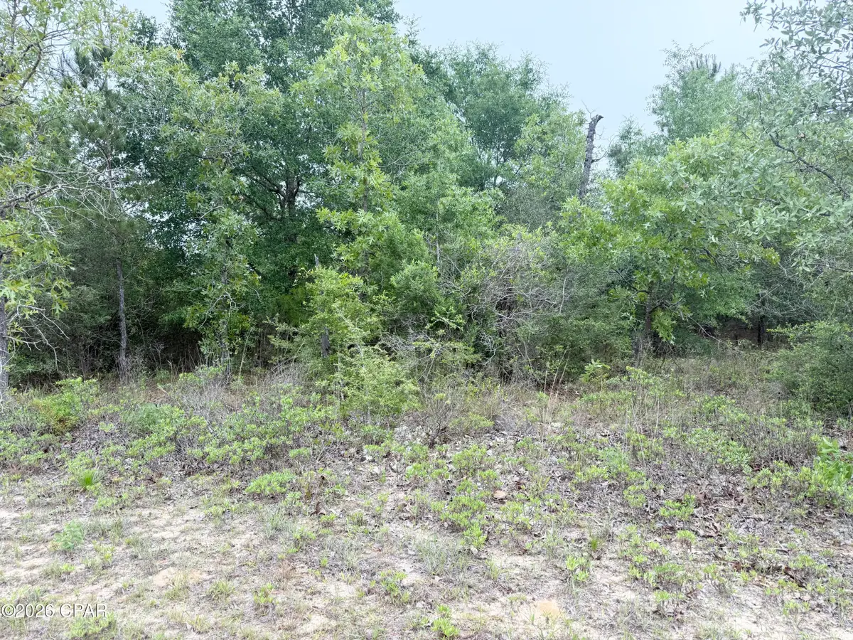 XXX Sumatra Drive, Chipley, FL 32428 - #1
