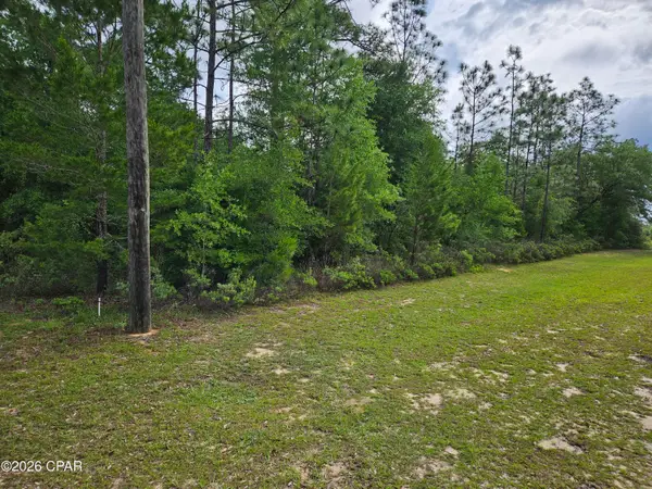 Lot 29 Shenandoah Boulevard, Chipley, FL 32428