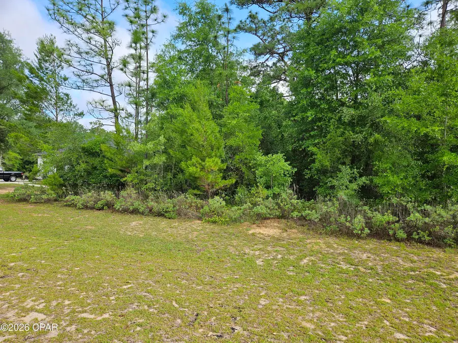 Lot 29 Shenandoah Boulevard, Chipley, FL 32428 - #2