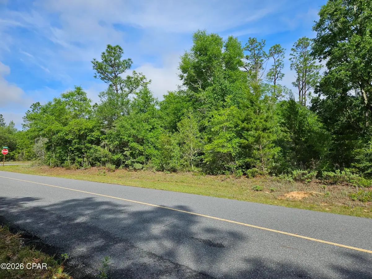Lot 14 Geraldine Circle, Chipley, FL 32428 - #1