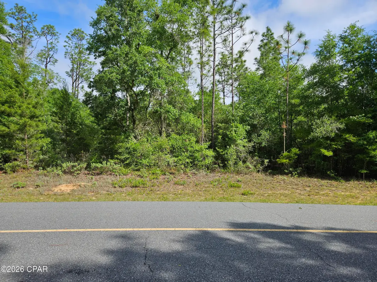 Lot 13 Walkerton Drive, Chipley, FL 32428 - #1