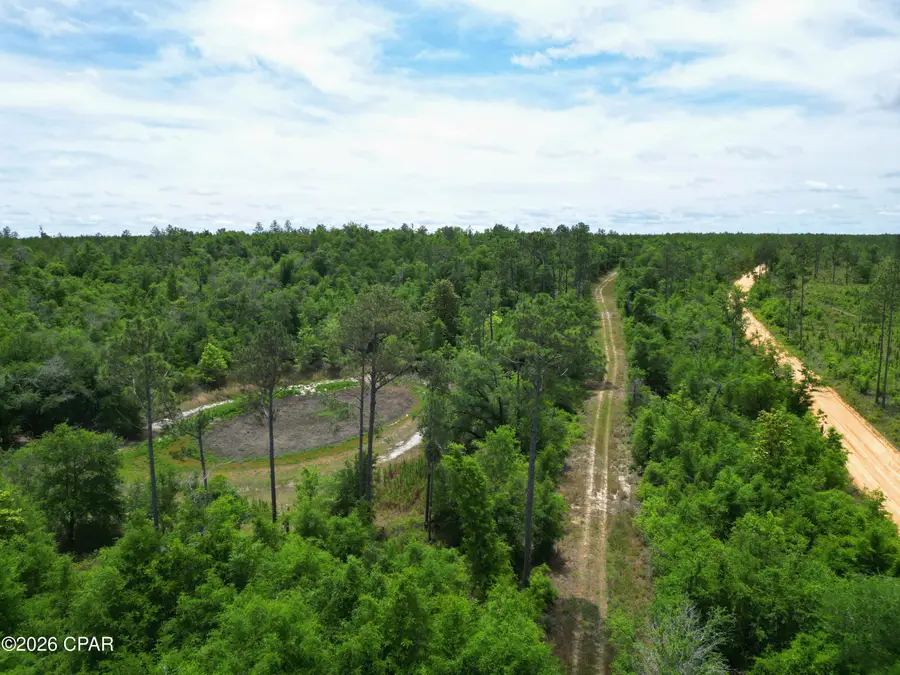 TBD Pittman Hill Road, Marianna, FL 32448 - #2