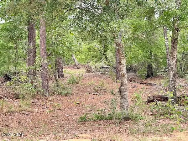 0 E Dixie Drive, Marianna, FL 32448