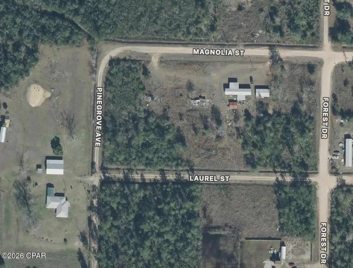 Lot 11 Magnolia Street, Fountain, FL 32438 - #1