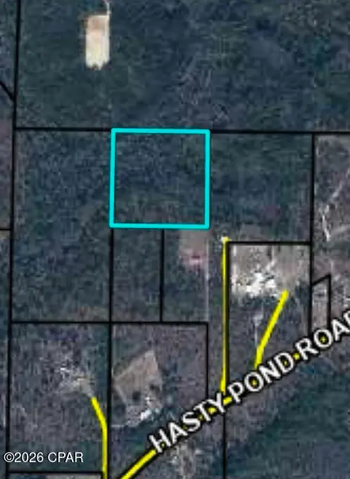 0 Hasty Pond Road, Marianna, FL 32448