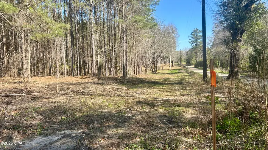 K Grimes Road, Laurel Hill, FL 32567 - #2