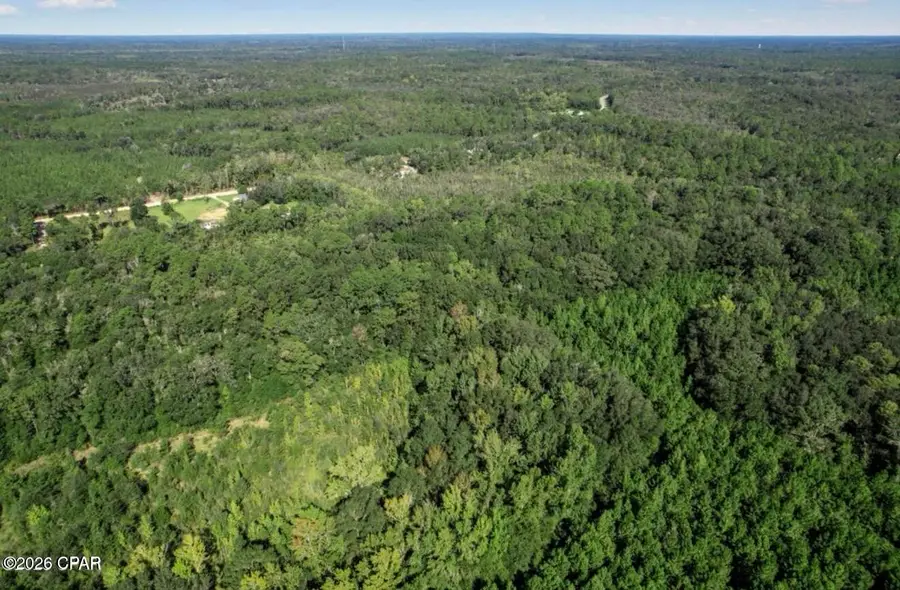 00 St Marys Road, Caryville, FL 32427 - #3