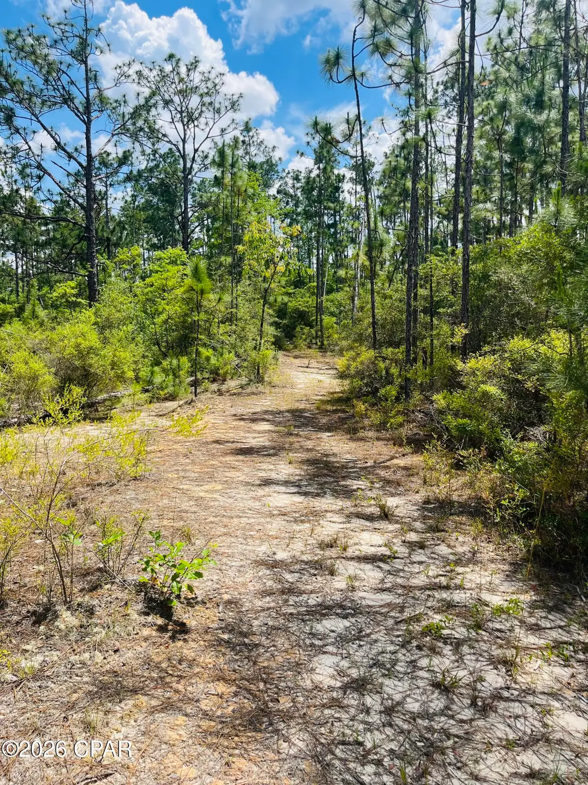 TBD Chaco Circle, Alford, FL 32420 - #1