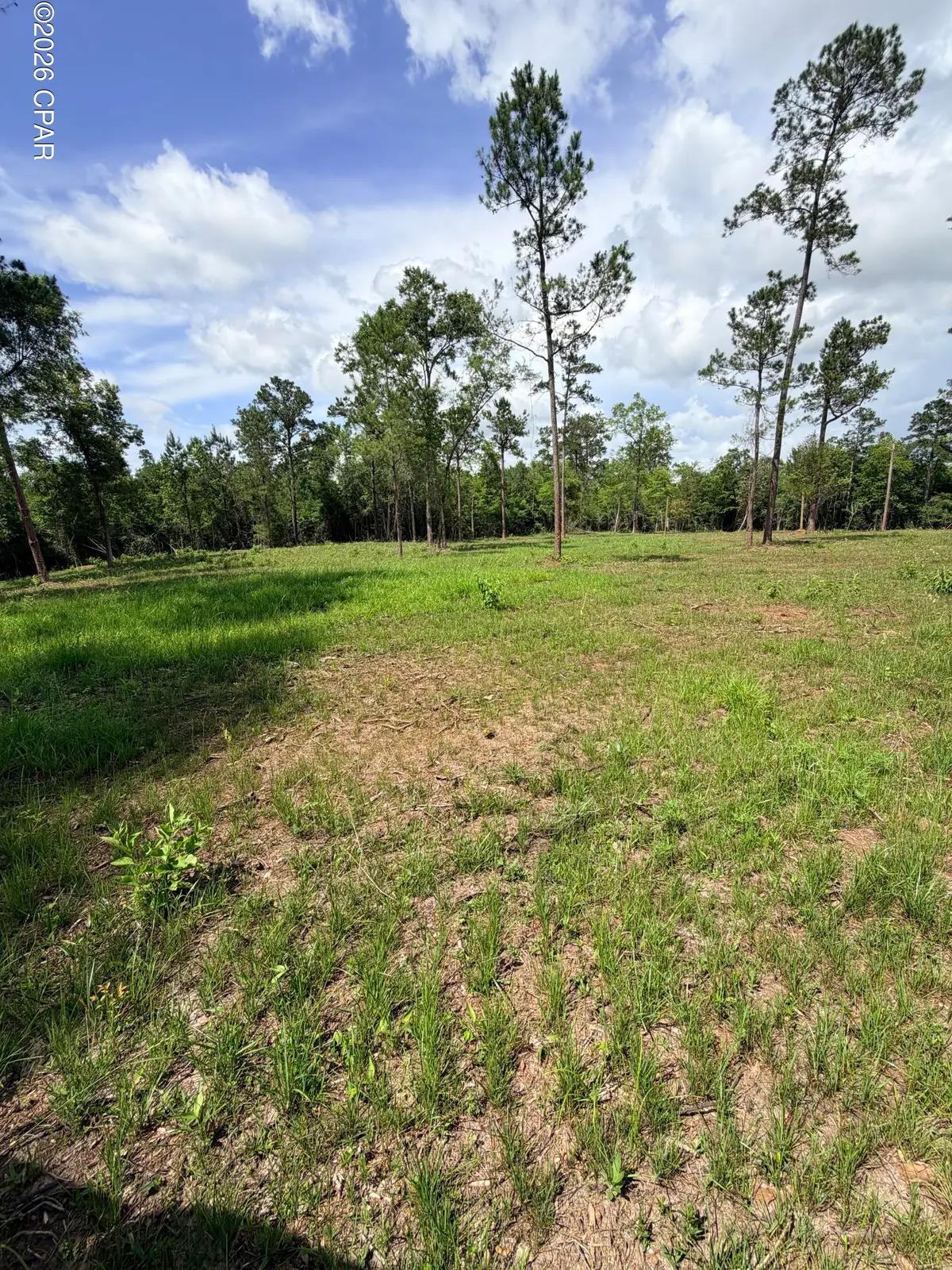 0 Buttercup Ln, Marianna, FL 32446 - #1