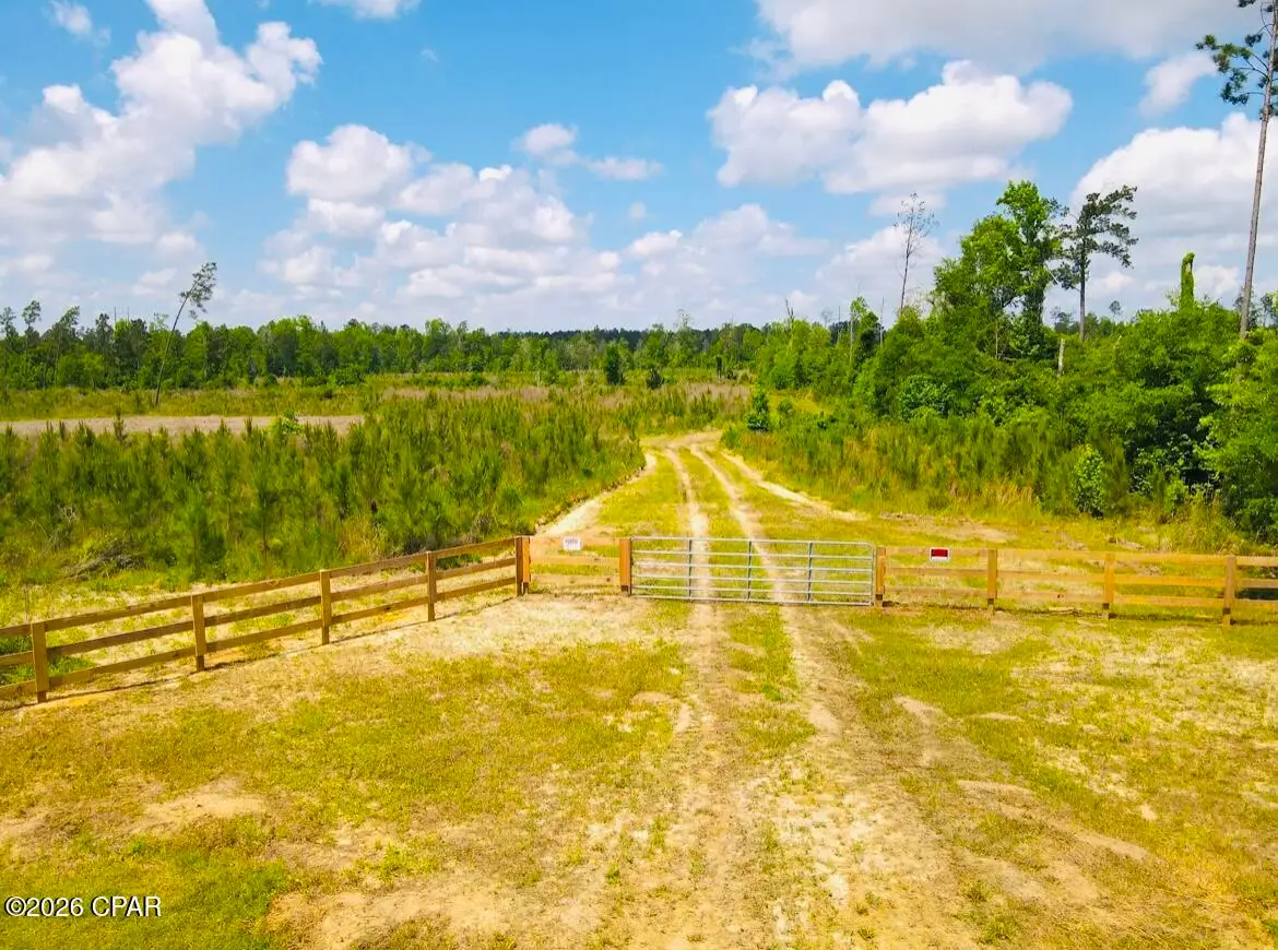 TBD Sinai Road, Sneads, FL 32460 - #1
