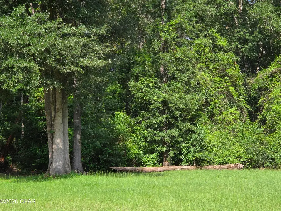 000 S 8th Street, Chipley, FL 32428 - #3