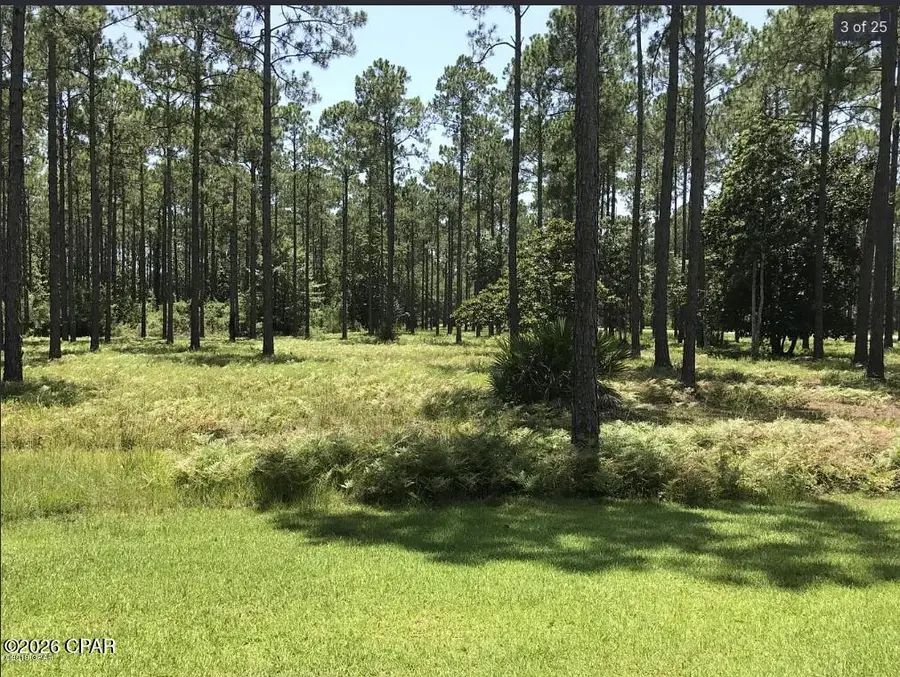 8556 Preservation Drive, Panama City Beach, FL 32413 - #3