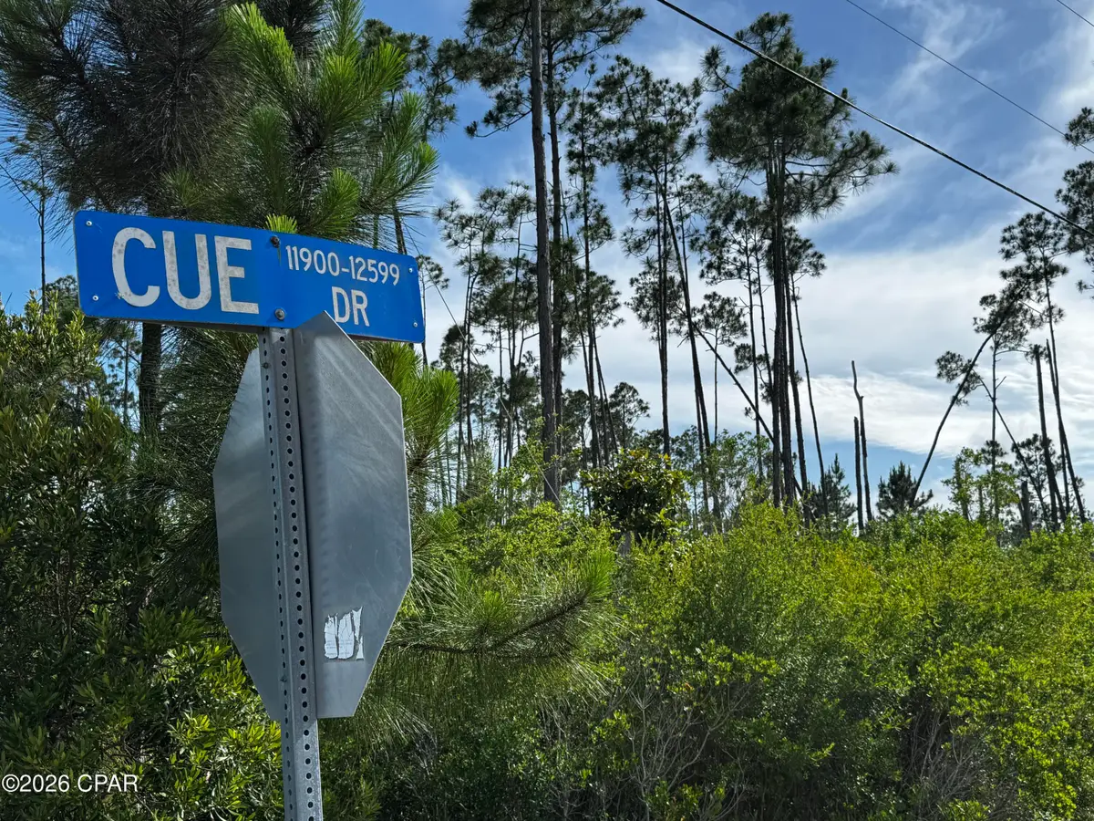 12128 Cue Drive, Panama City, FL 32404 - #1