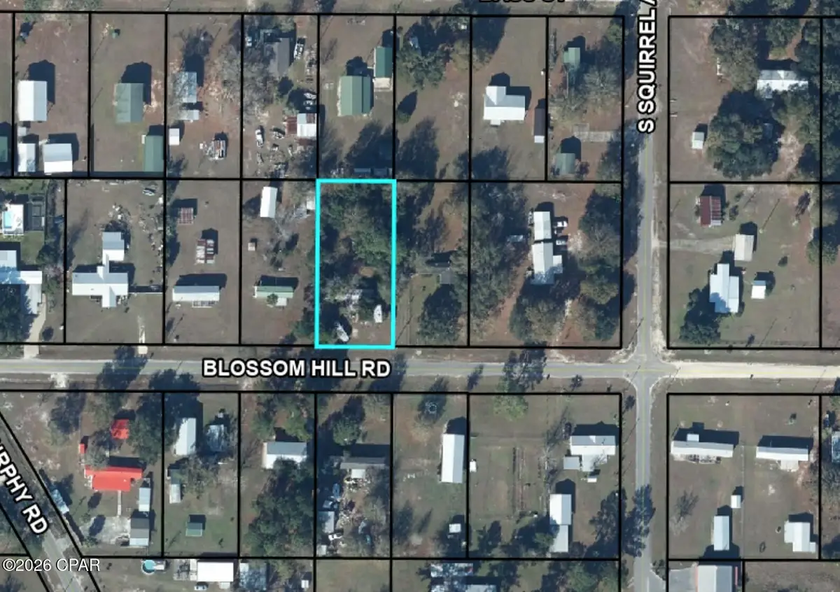6965 Blossom Hill Road, Wewahitchka, FL 32465 - #1