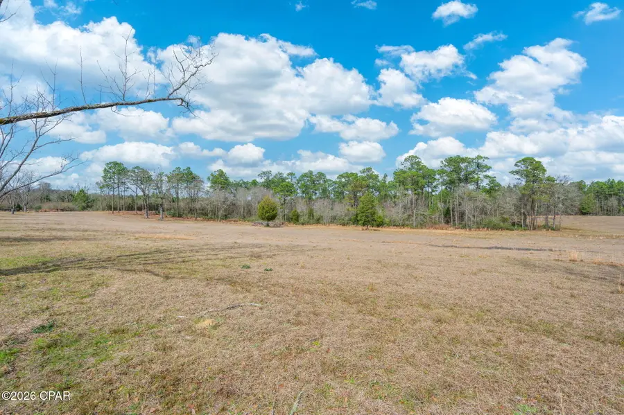 686 Alford Road, Defuniak Springs, FL 32433 - #2